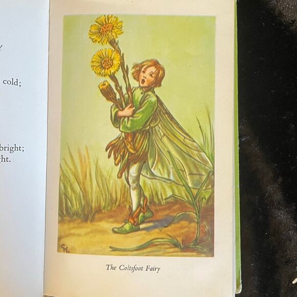 Flower Fairies of the Spring by Cicely Mary Barker | 1974 | Vintage Fairy Book - Picture 5 of 11